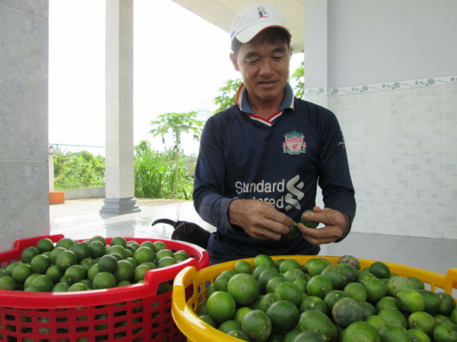 Đau[-]lòng[-]với[-]giá[-]bán[-]40kg[-]chanh[-]không[-]bằng[-]một[-]ổ[-]bánh[-]mì[-]!